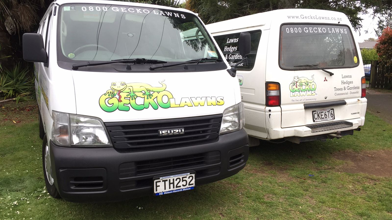 Two signwritten Gecko Lawns vans parked on a lawn